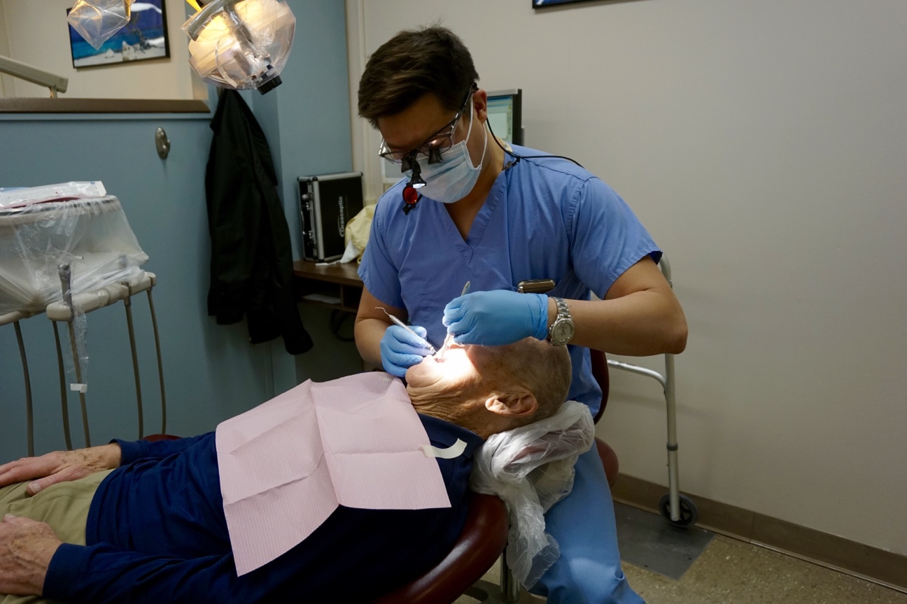 Doctor in Dentistry Medical university of Dentistry